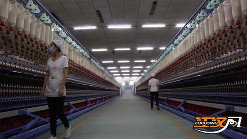 增量提质 荆州纺织服装产业集群成链
