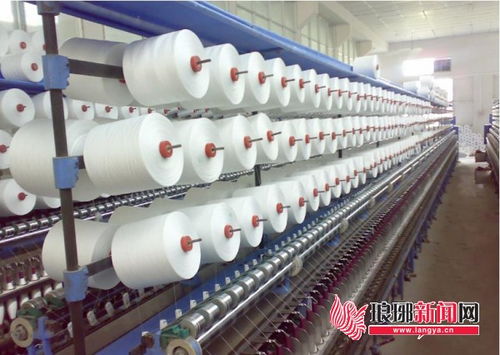 织 造 经 彩 临沂市纺织产业加快转型升级正当时